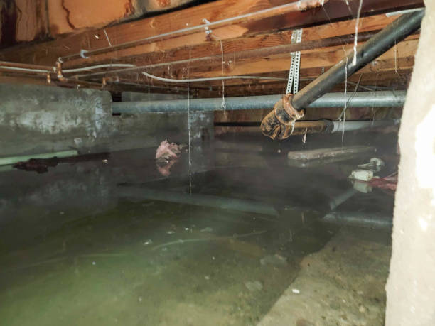 Best Water damage restoration specialists  in Casas Adobes, AZ