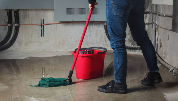Professional Water damage restoration in Casas Adobes, AZ