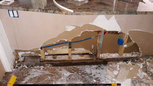 Best Professional water damage repair  in Casas Adobes, AZ