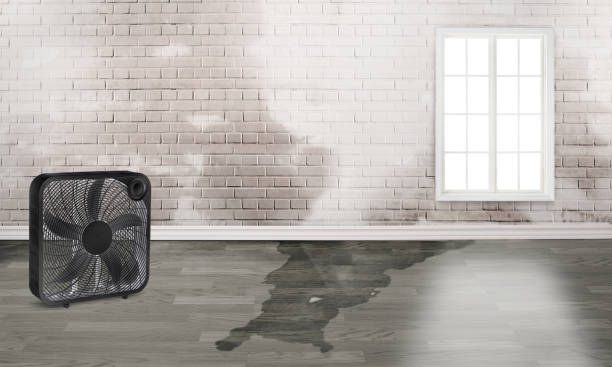 Best Water damage restoration services  in Casas Adobes, AZ
