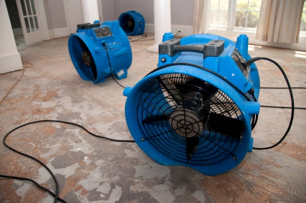 Best Ceiling water damage repair  in Casas Adobes, AZ