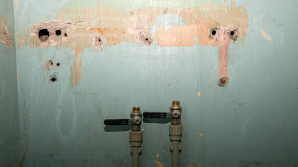 Best Water damage restoration insurance claims  in Casas Adobes, AZ