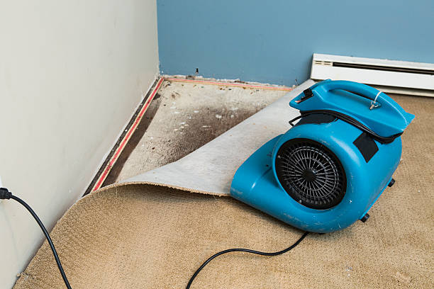 Best Water damage contractors near me  in Casas Adobes, AZ